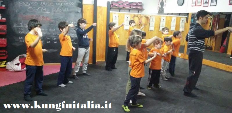 Kung Fu Caserta Italia Kung Fu per bambini, uomini e donne, accademia di arti marziali wing tjun, wing chun, tai chi, mma, muay thai, pilates www.kungfuitalia.it (1)